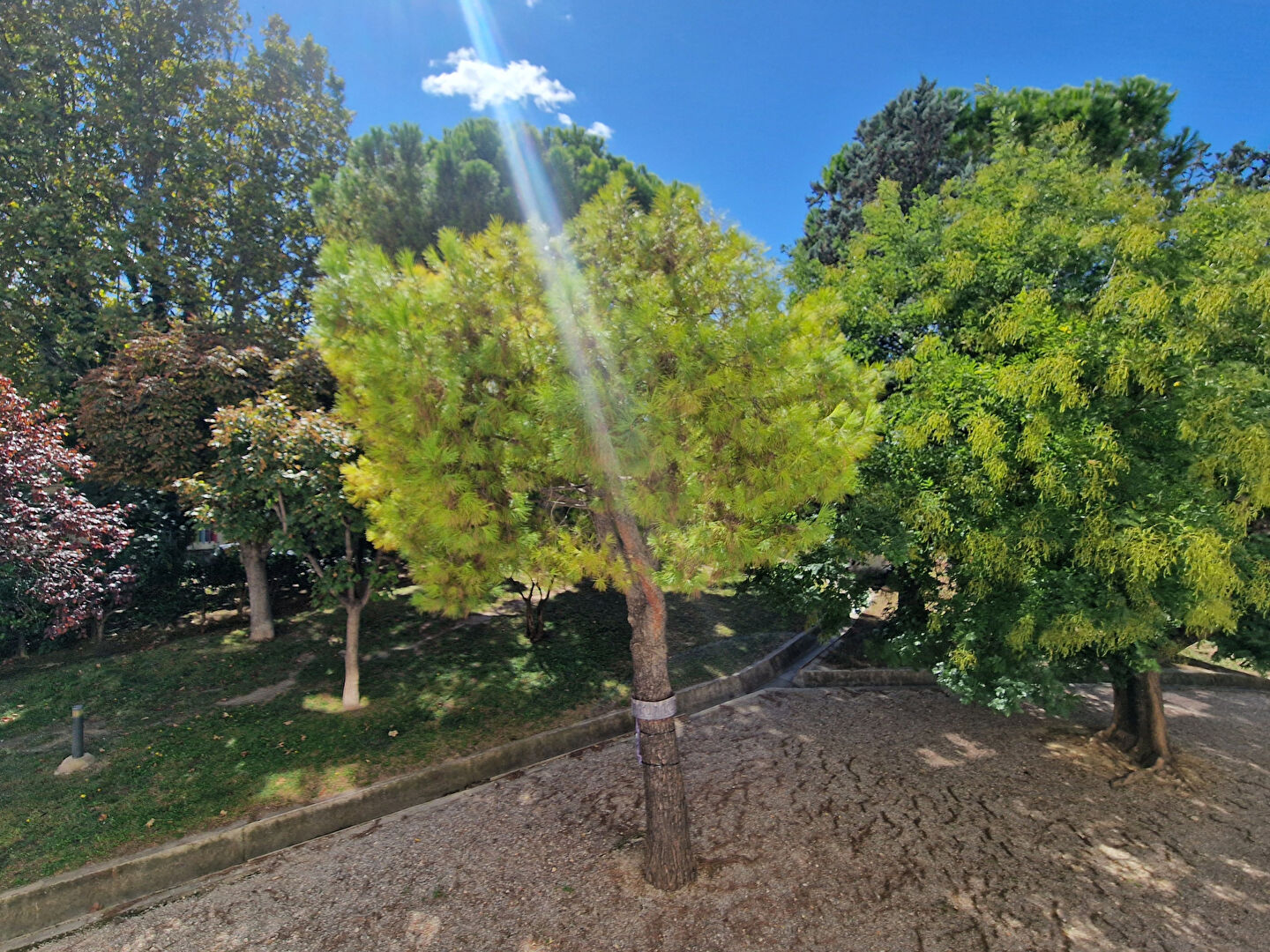 Vente Appartement MARSEILLE 12 EME